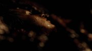 The Descent