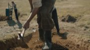 The Dig