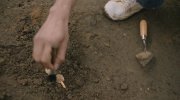 The Dig