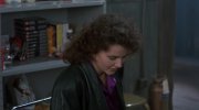 The Fly