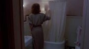 The Fly