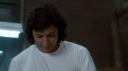 The Fly