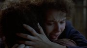The Fly