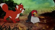 The Fox and the Hound