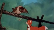 The Fox and the Hound