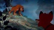 The Fox and the Hound