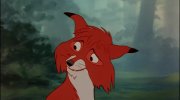 The Fox and the Hound