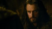 The Hobbit: The Desolation of Smaug