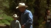 The Horse Whisperer