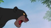 The Jungle Book