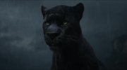 The Jungle Book