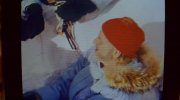 The Life Aquatic with Steve Zissou