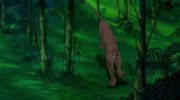 The Lion King