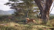 The Lion King