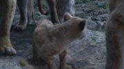 The Lion King