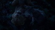 The Lion King