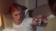 The Man Who Fell to Earth