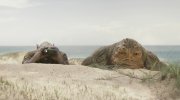 The Mandalorian and Grogu