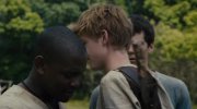 The Maze Runner