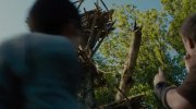 The Maze Runner
