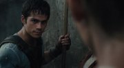 The Maze Runner