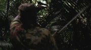 The Mosquito Coast