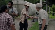 The Mule
