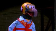 The Muppet Show