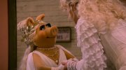 The Muppet Show