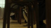The Penguin Lessons