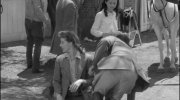 The Philadelphia Story