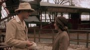 The Purple Rose of Cairo