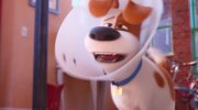 The Secret Life of Pets 2