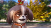 The Secret Life of Pets 2
