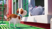 The Secret Life of Pets