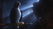 The Secret Life of Pets
