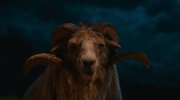 The Sheep Detectives