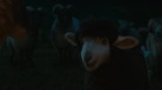 The Sheep Detectives