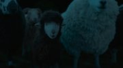 The Sheep Detectives