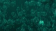 The SpongeBob SquarePants Movie