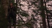 The Twilight Saga: Breaking Dawn - Part 2
