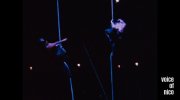 The Velvet Underground