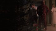 The War of the Roses