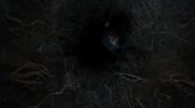 The Watchers