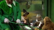 The Wizard of Oz