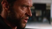 The Wolverine