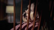 The Woman in the Window