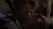 Turner & Hooch