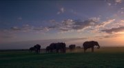 Voyage of Time: Life's Journey