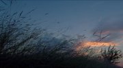 Voyage of Time: Life's Journey